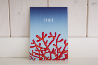 Digital Illustration